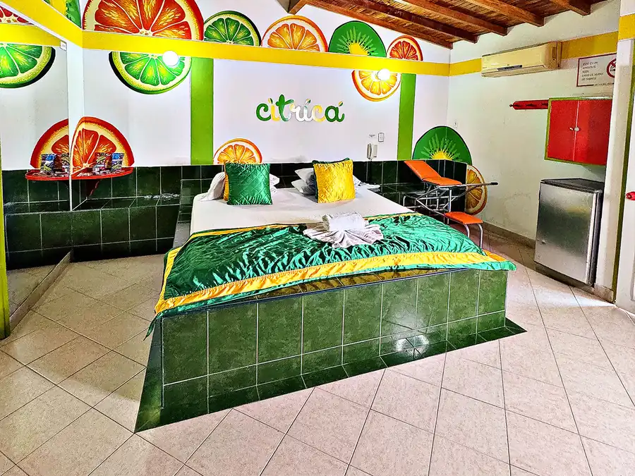 Suite 09 imagen 3